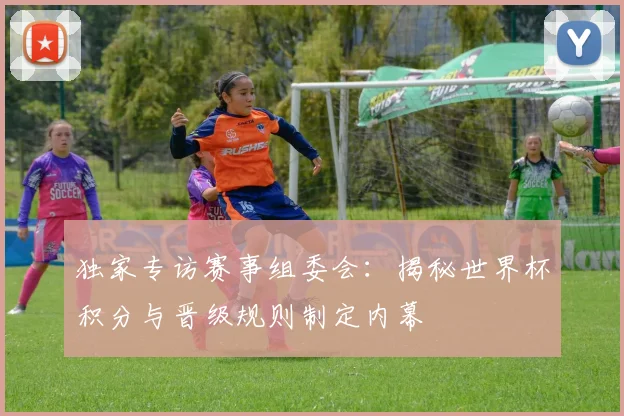 独家专访赛事组委会：揭秘世界杯积分与晋级规则制定内幕