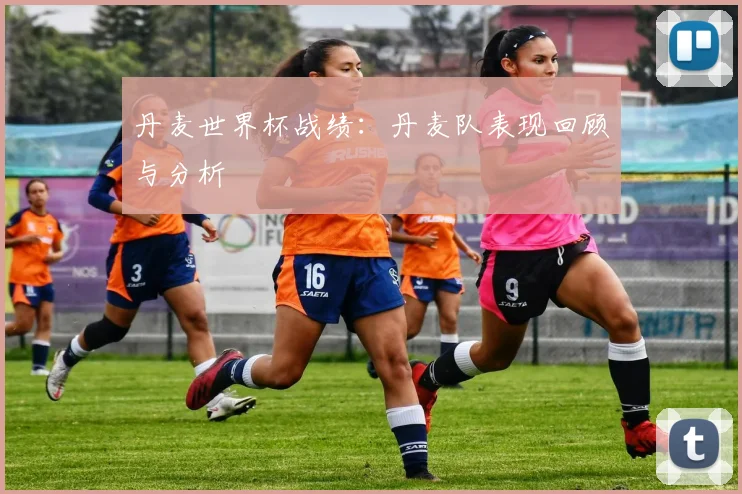 丹麦世界杯战绩：丹麦队表现回顾与分析