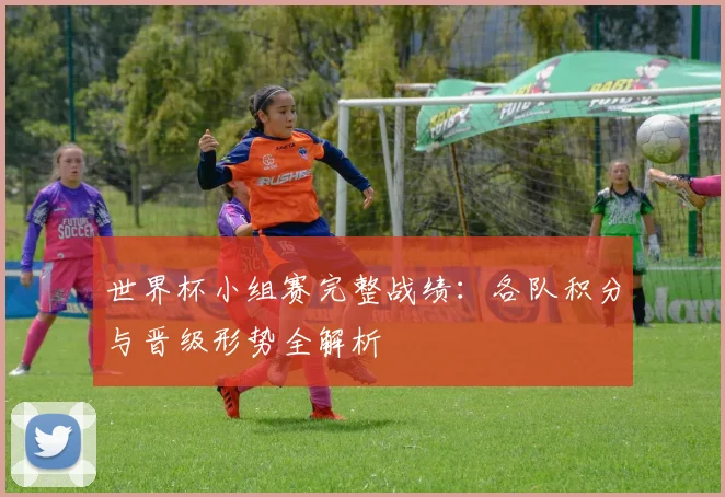 世界杯小组赛完整战绩：各队积分与晋级形势全解析