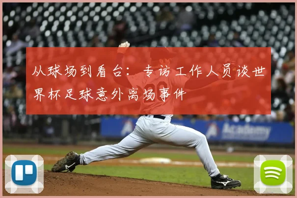 从球场到看台：专访工作人员谈世界杯足球意外离场事件