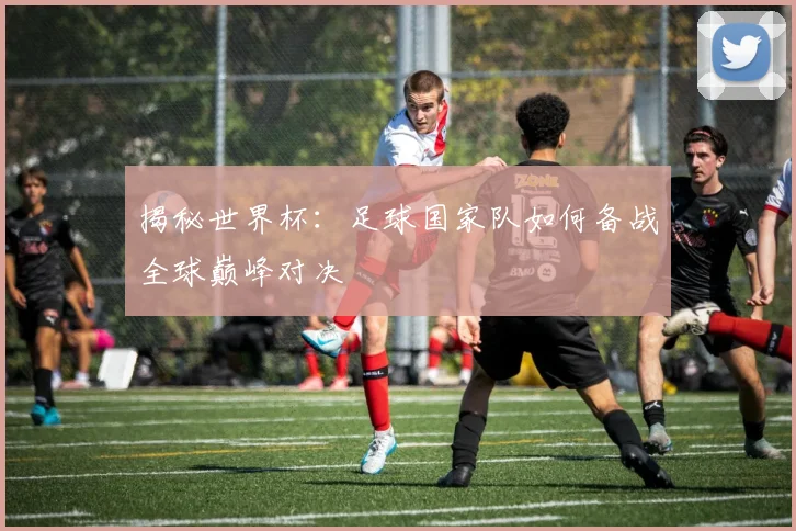 揭秘世界杯：足球国家队如何备战全球巅峰对决