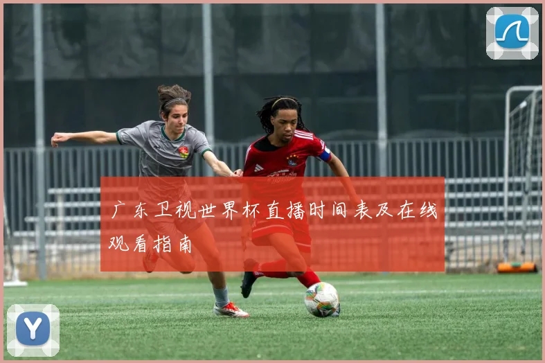 广东卫视世界杯直播时间表及在线观看指南